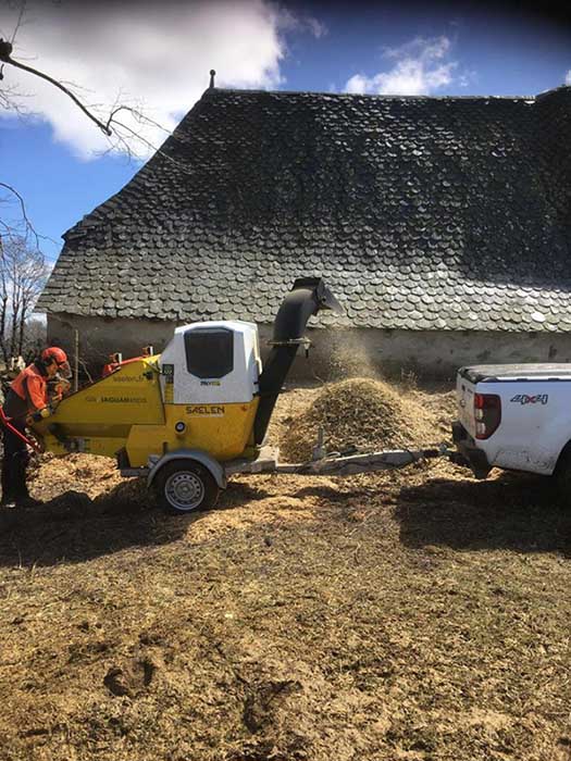 Taille d'arbres Saint-Flour